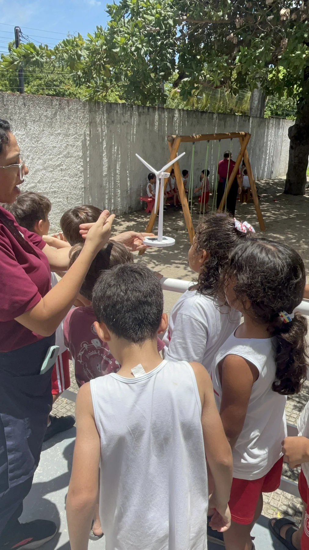 Observação da natureza no pátio